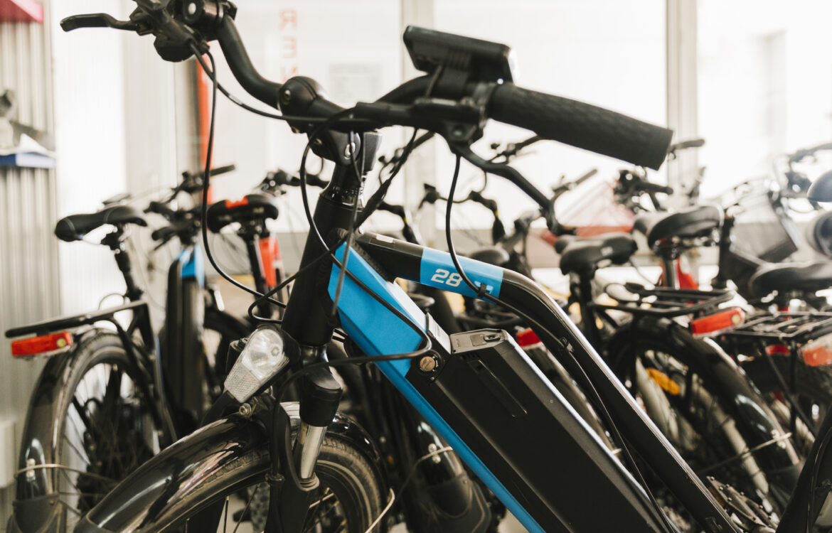 eclectic bikes